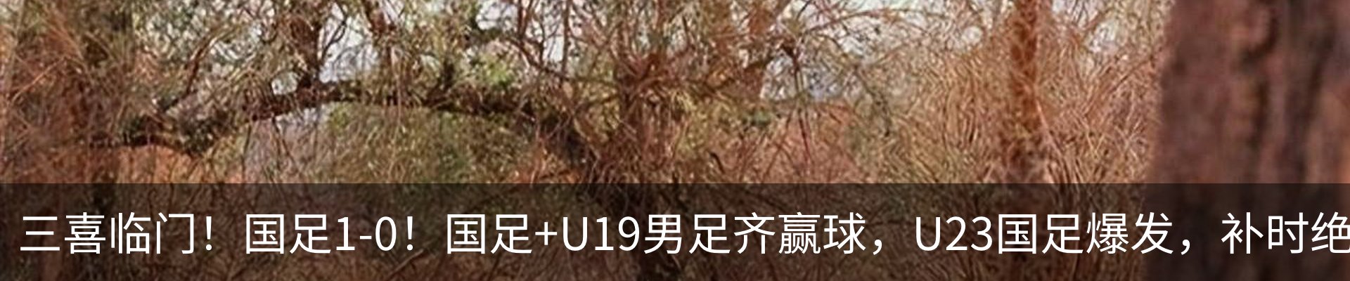 资讯中心