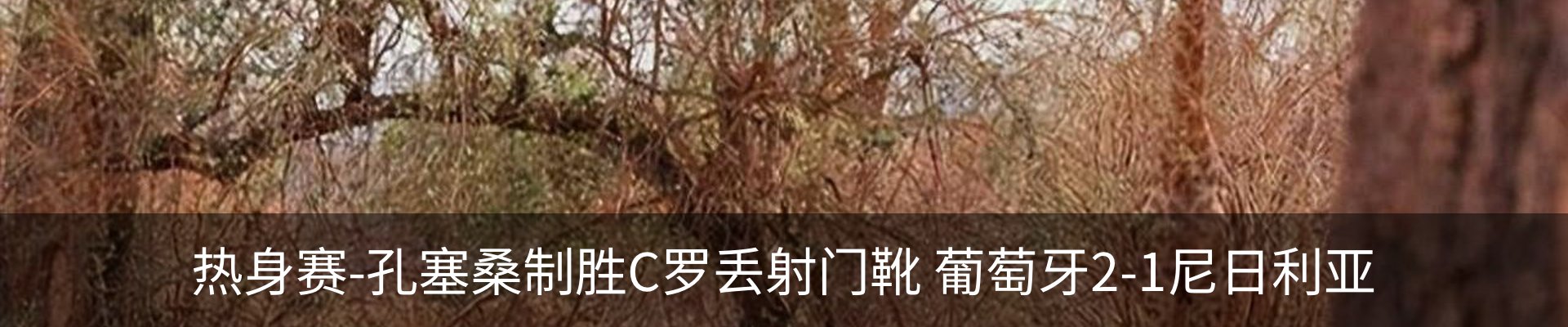 资讯中心