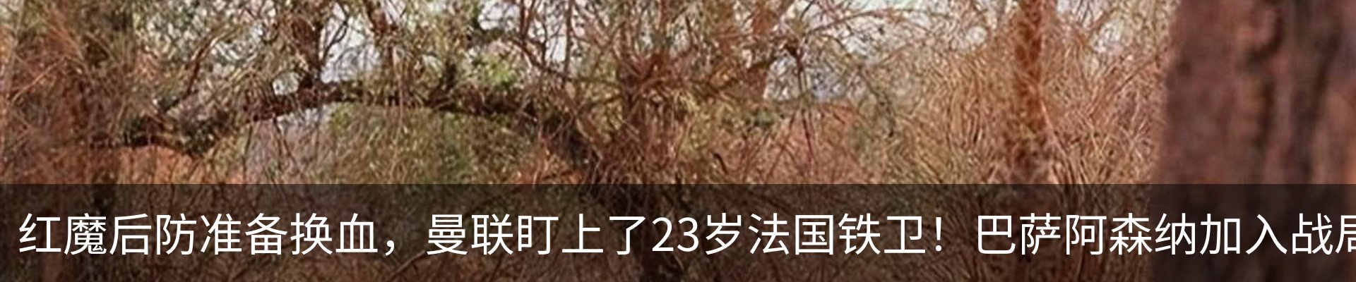 资讯中心